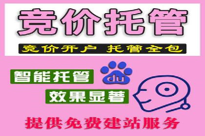 成功案例：SEM外包公司助力企业实现低成本广告